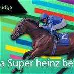 super heinz bet meaning